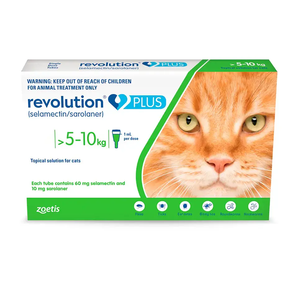 Revolution Plus Gato 5K a 10K 1
