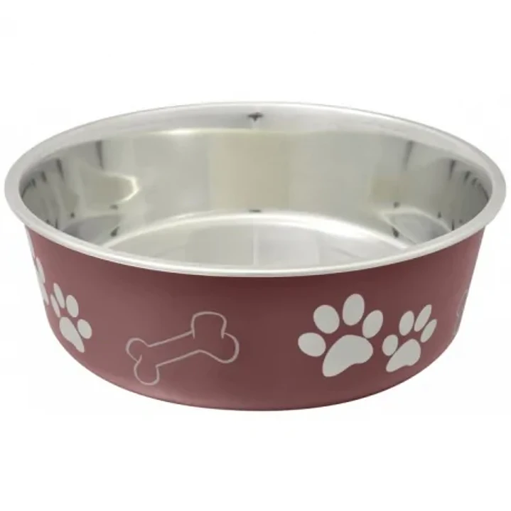 Plato Acero Inox Rojo 1