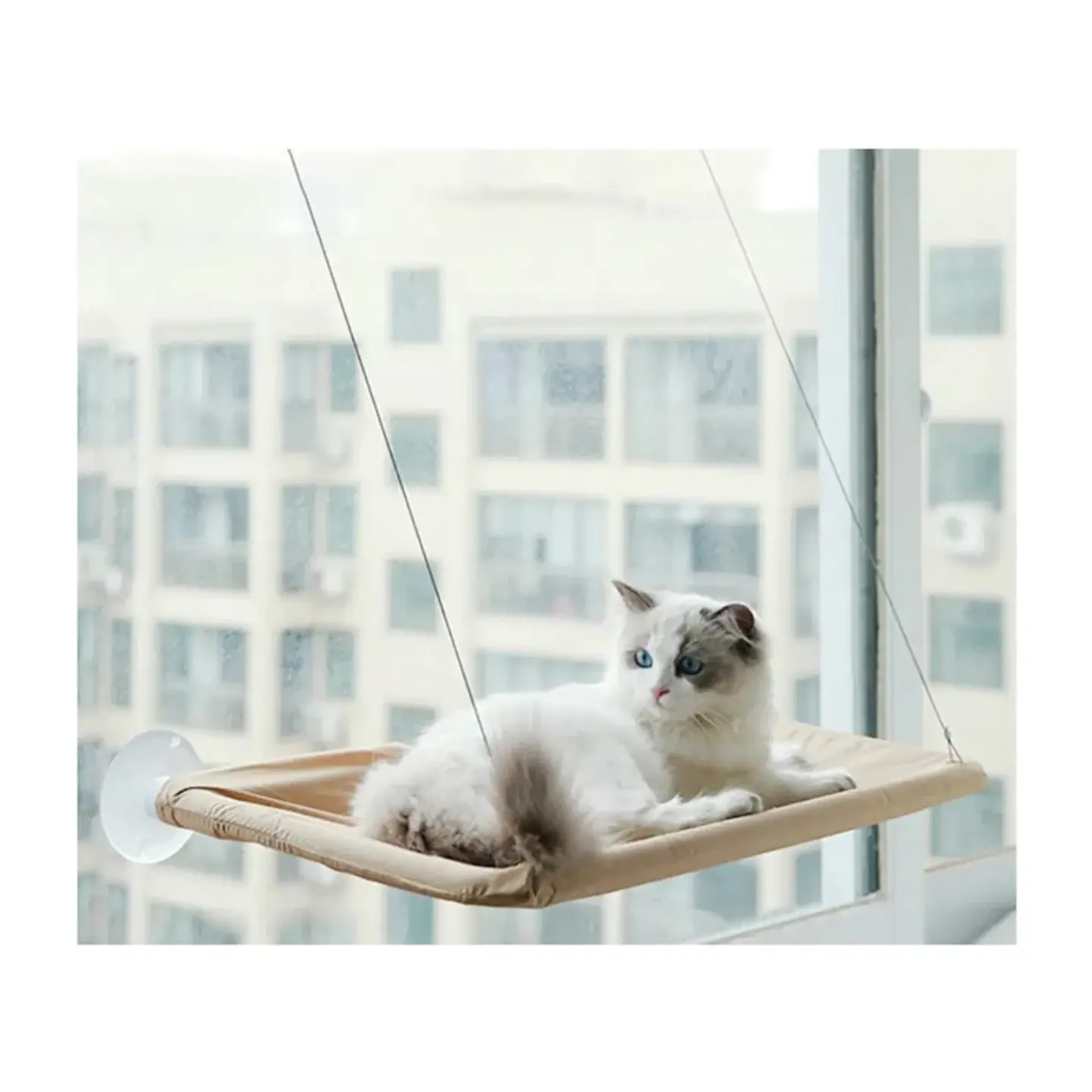 Hamaca Gato Con Chupones Marben Pets (Canjea Hasta 2000PB) 2