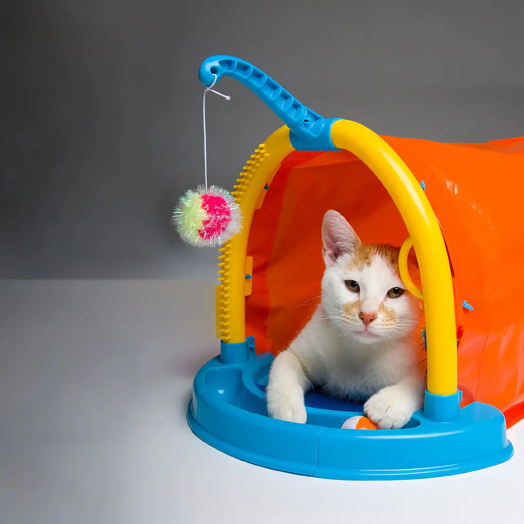 Hartz Hide Play Cat Toy  3