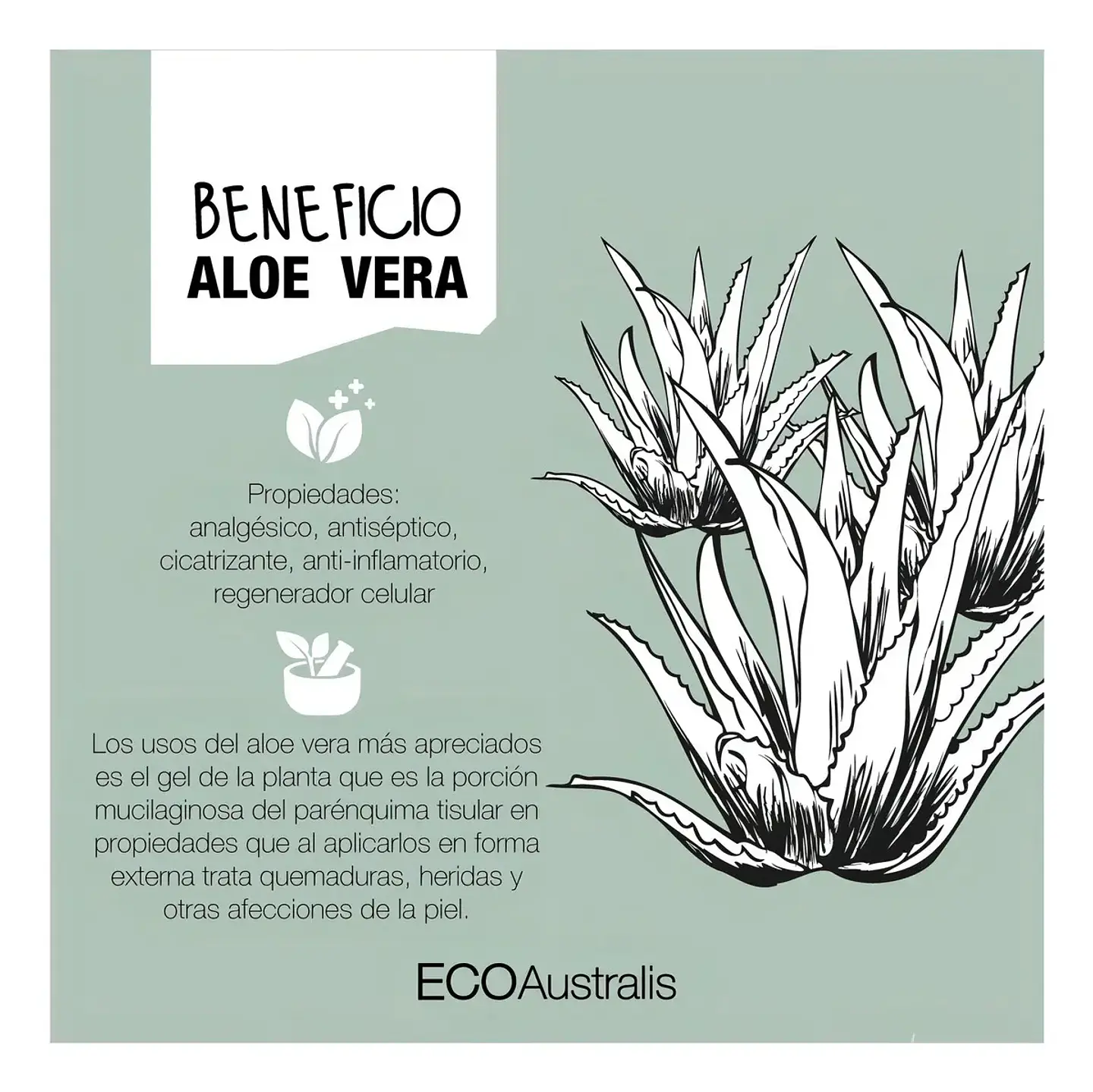 Eco Australis Shampoo Repelente 250ml  3