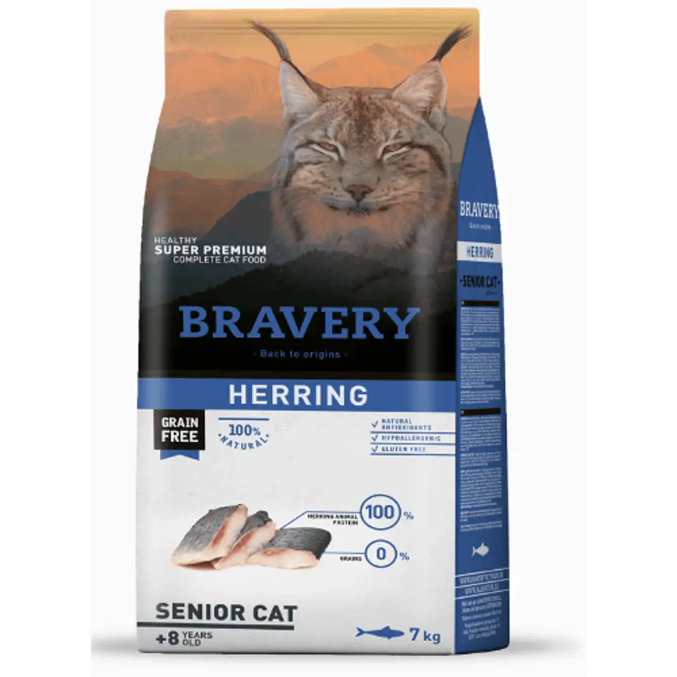 Bravery Senior Cat 1