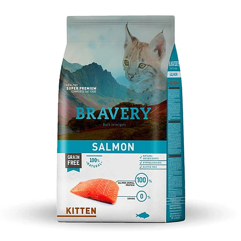 Bravery Kitten Salmon 2K 