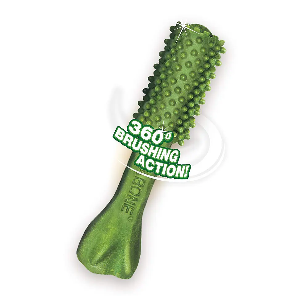 Nylabone Nutri Dent Small Dog  1