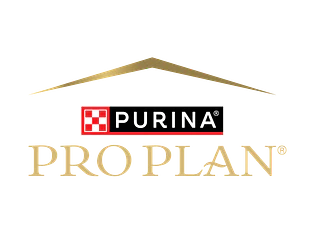 Pro Plan
