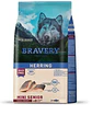 Bravery Herring Perro Senior 2K  - Miniatura 1