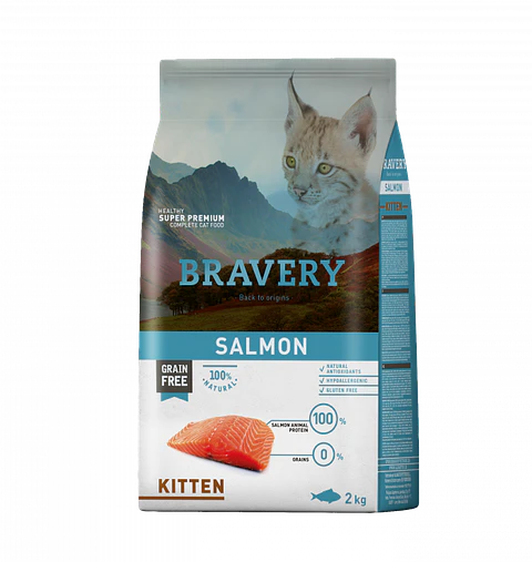 Bravery Kitten Salmon 2K 