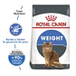 Royal Canin Weight Care Gato 1.5K - Miniatura 1