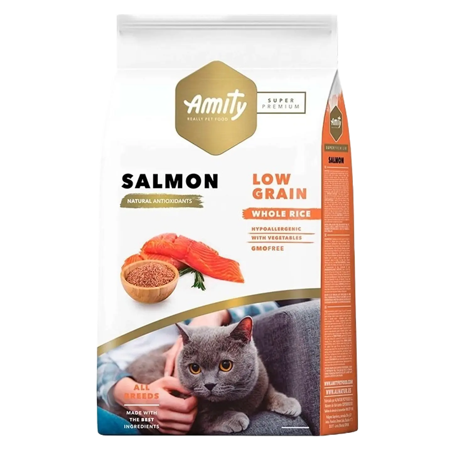 Amity gato Adulto Normal 2K  1