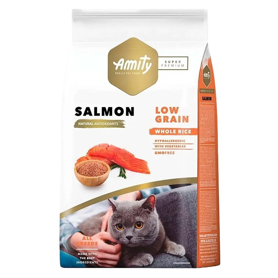 Amity gato Adulto Normal 2K  1