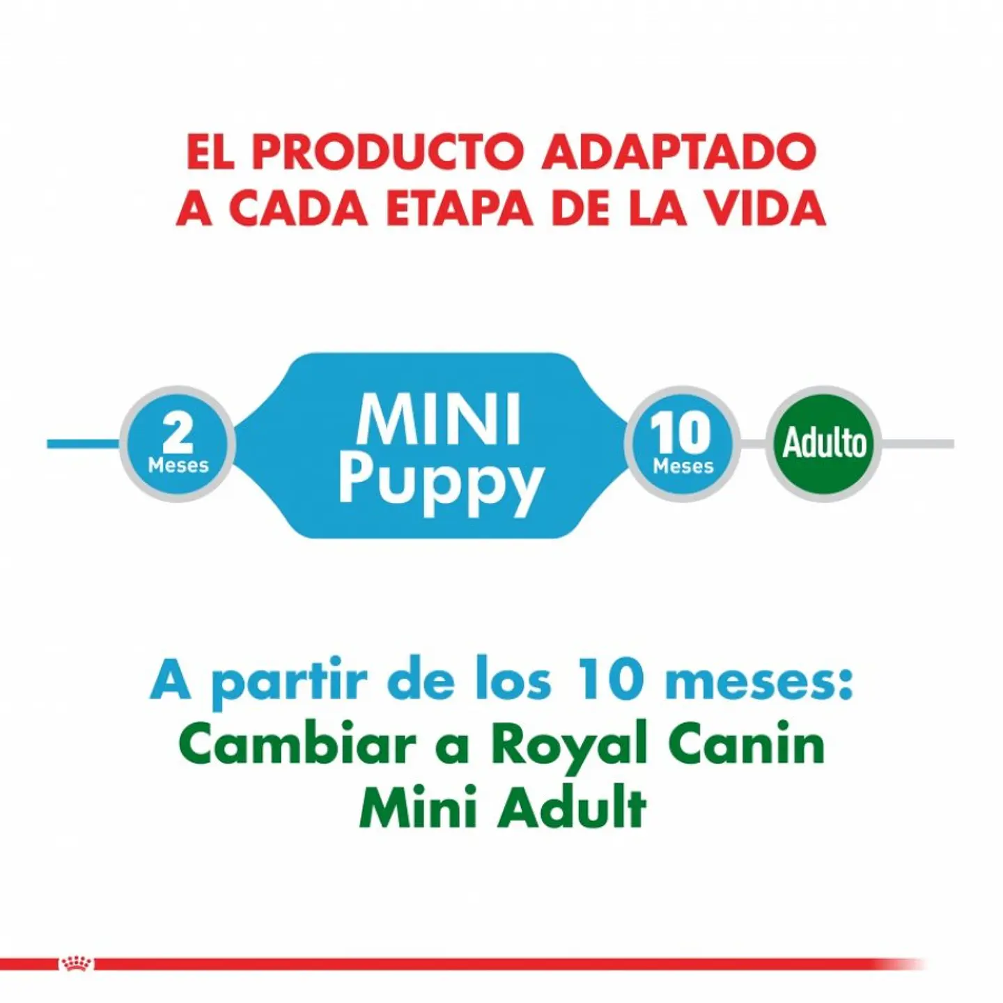 Royal Canin Mini Puppy 1K  3