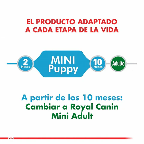 Royal Canin Alimento Seco Mini Puppy 3 Kg