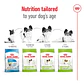 Royal canin alimento seco perro adulto x-Small adult 2,5 Kg - Miniatura 3