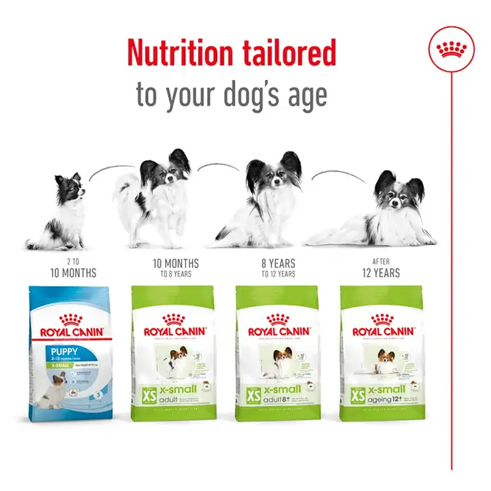 Royal Canin alimento seco Puppy X-Small 1K  3