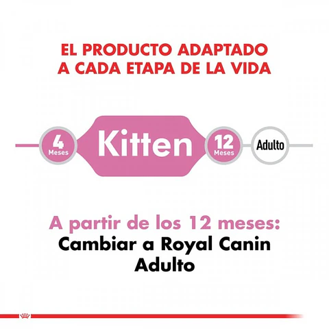 Royal Canin Kitten 4 a 12 meses 4K 