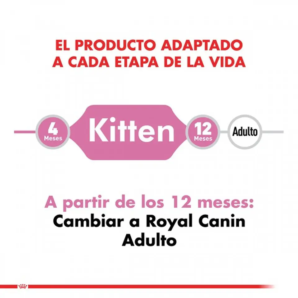 Royal Canin Kitten 4 a 12 meses 4K  3