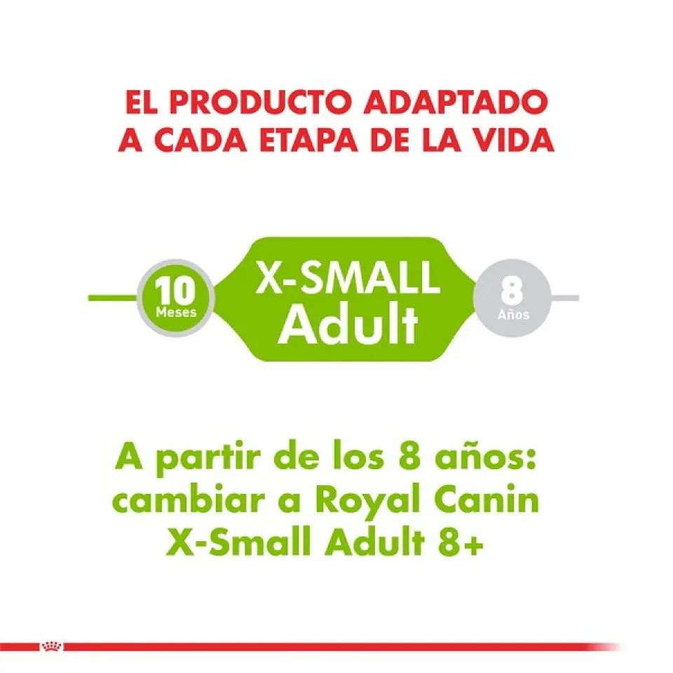 Royal Canin X-SMALL 1K  4