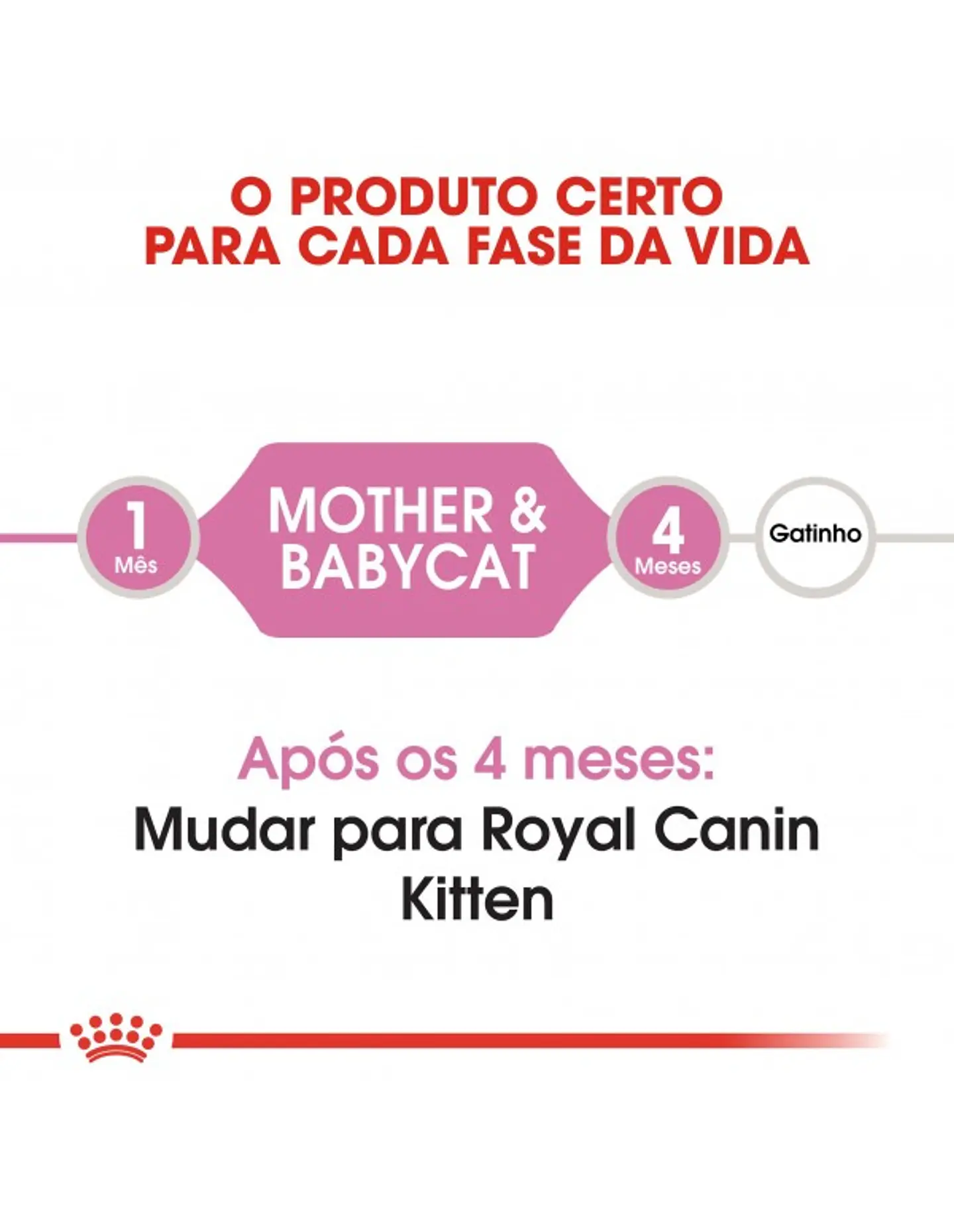 Royal Canin Mother and Baby Cat 1.5K 5