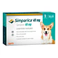 Simparica - Contra Pulgas - Garrapatas - Sarna - Miniatura 2
