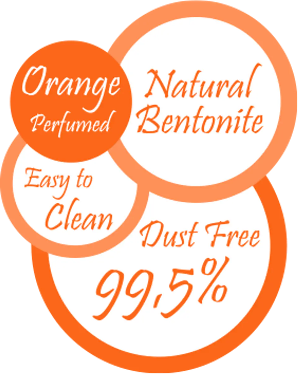 VanCat Orange 10K  3