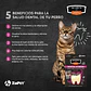 Qchefs Dental snack Granulado Gato  - Miniatura 3
