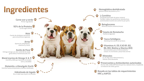 Bokato Cachorro 10 Kilos