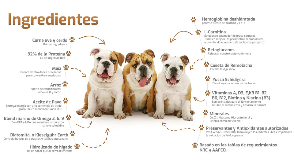 Bokato Cachorro 10 Kilos 2