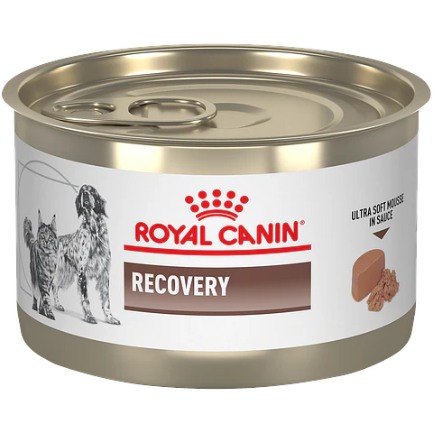 Recovery Canine o Feline lata 145 GR