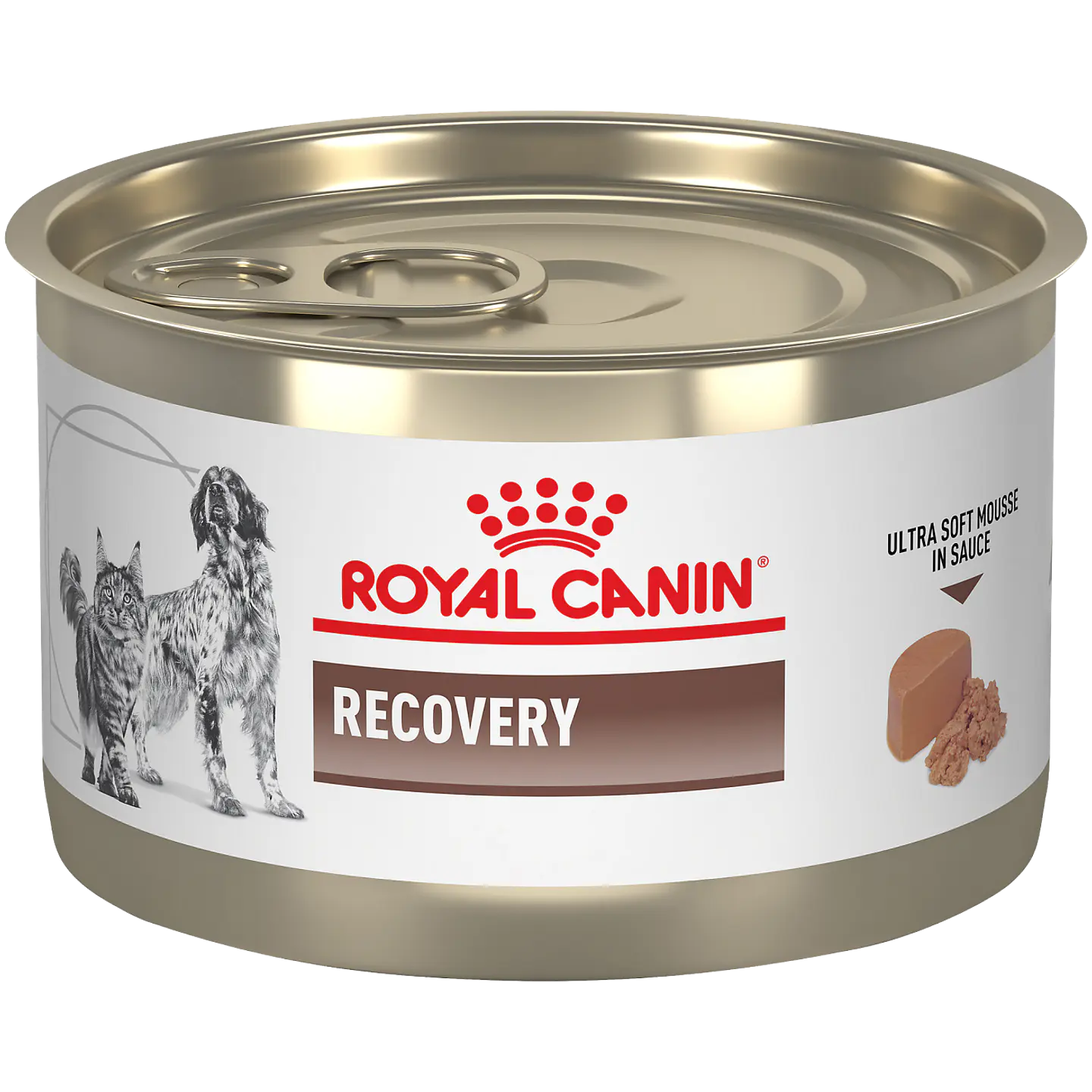 Recovery Canine o Feline lata 145 GR 1