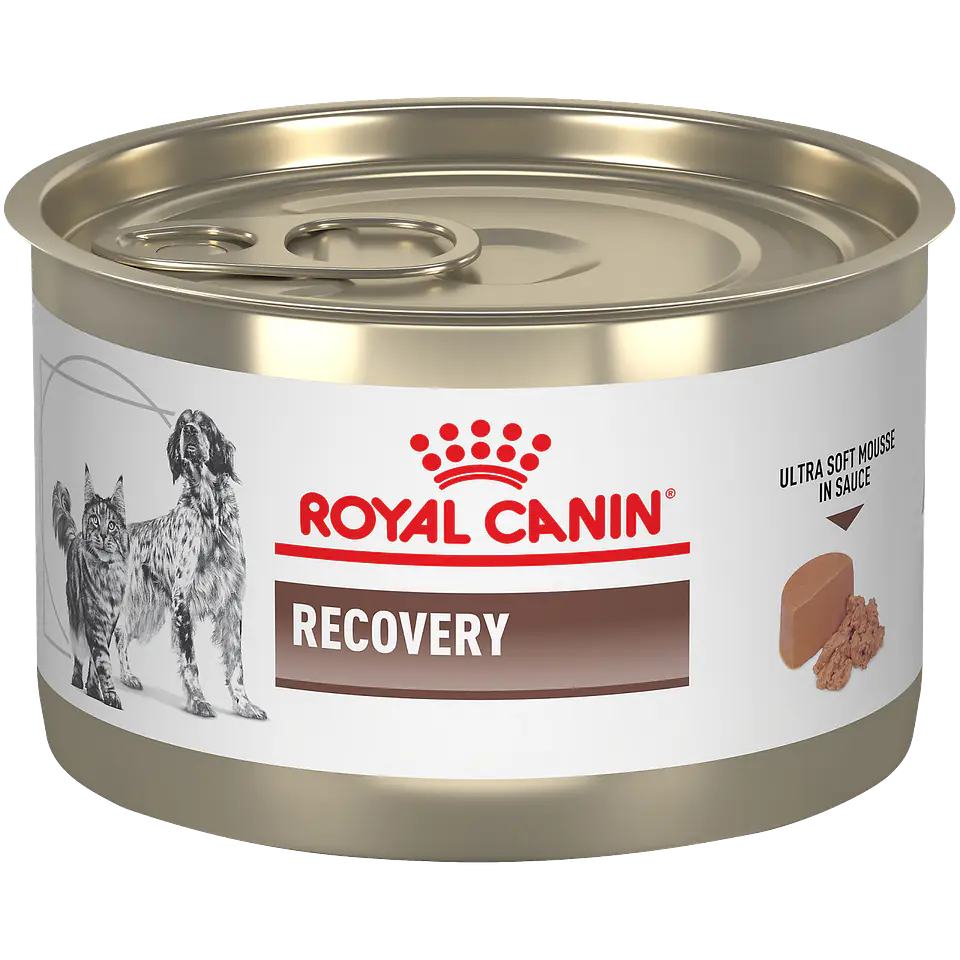 Recovery Canine o Feline lata 145 GR 1