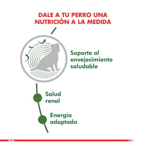 Royal Canin Mini Adult 12+ 3K 