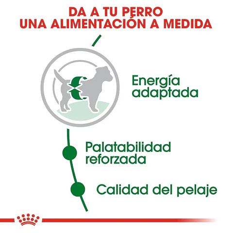 Royal Canin Alimento Seco Mini Adult 1K 