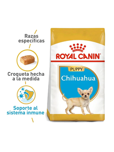 Royal Chihuahua Puppy 1K