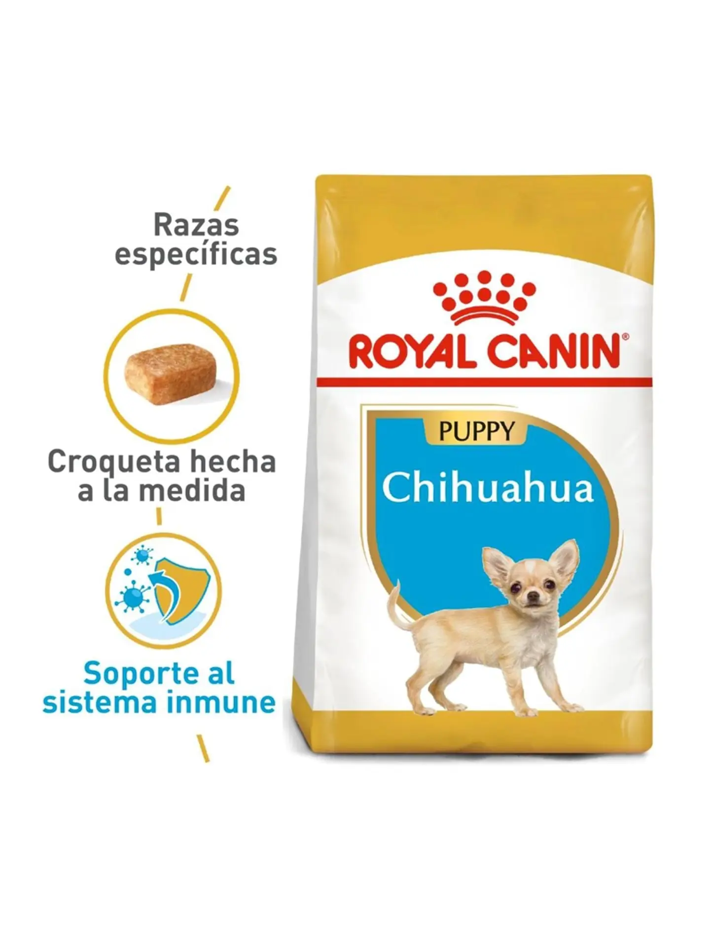 Royal Chihuahua Puppy 1K 1
