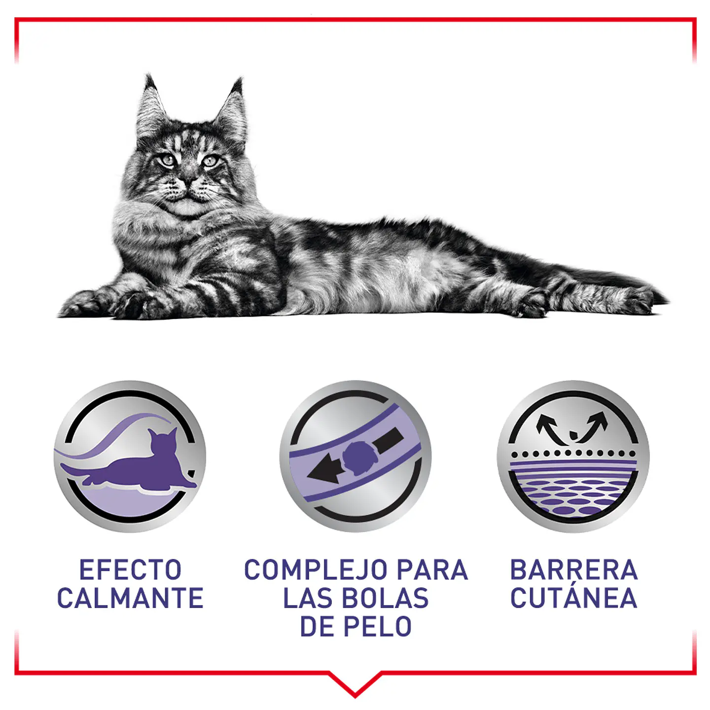 Royal Canin Calm Feline 2K  3