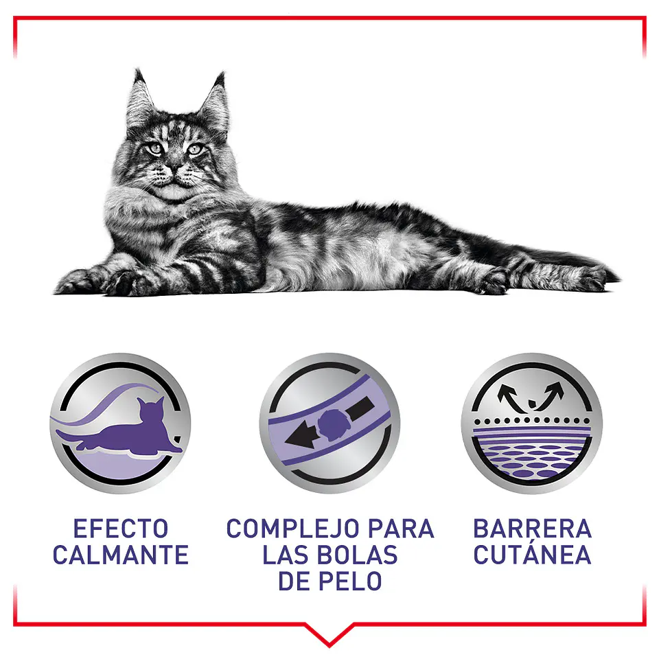 Royal Canin Calm Feline 2K  3