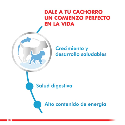 Royal Canin Mini Puppy