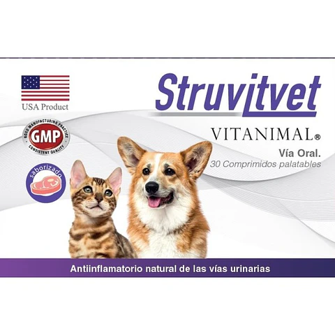 Struvitvet