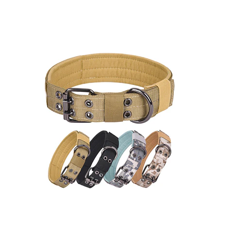 Collar Perro Comando