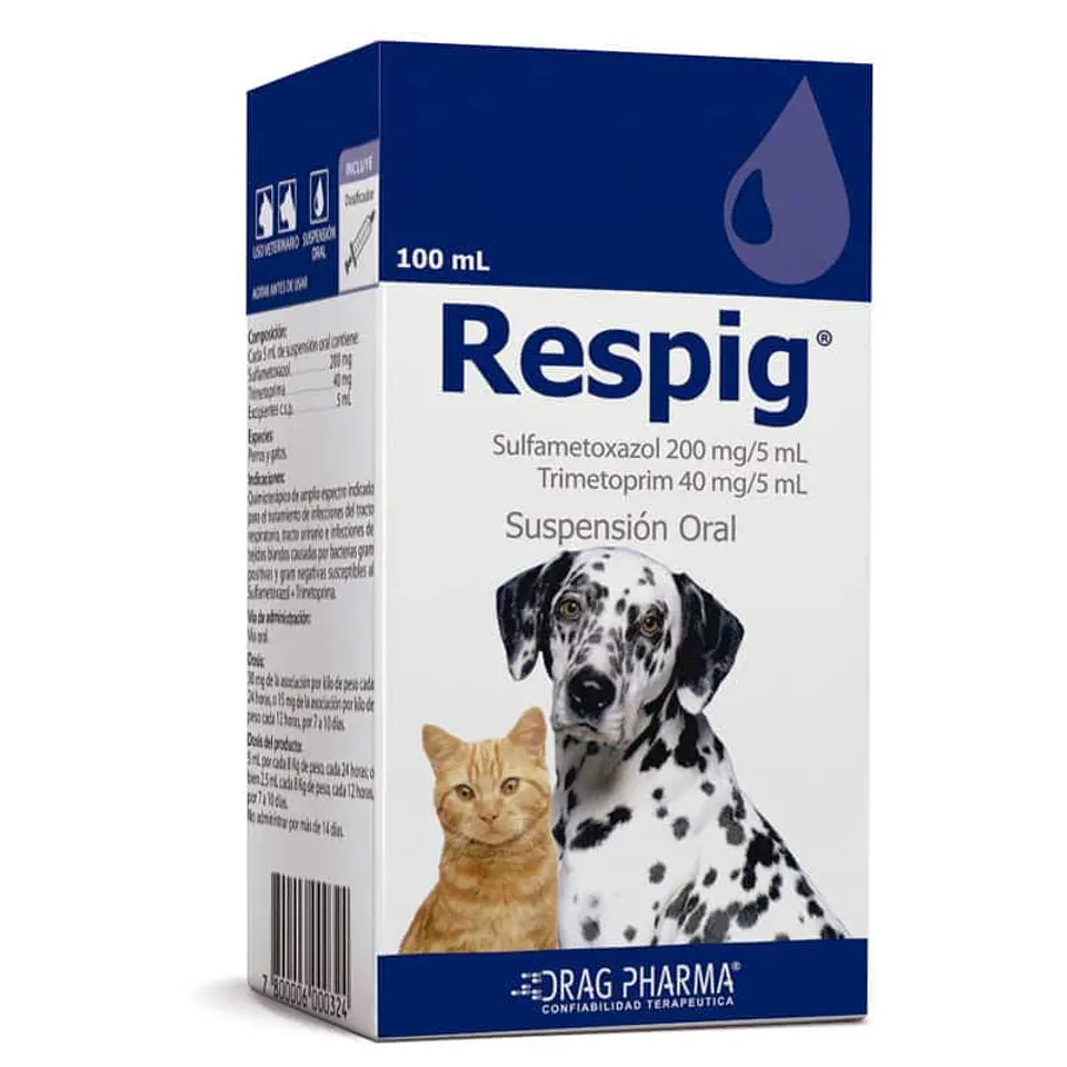 Respig Jarabe 100 ml  1