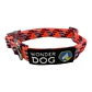 Collar WD Trenzado Colores - Miniatura 1