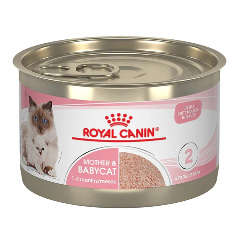 Royal Canin Mother and Baby Cat Lata 145grs 