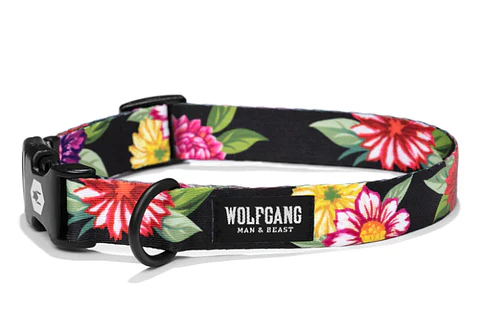 Wolfgang Collar S