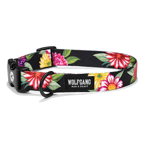 Wolfgang Collar M