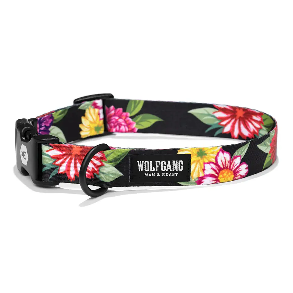 Wolfgang Collar M 1