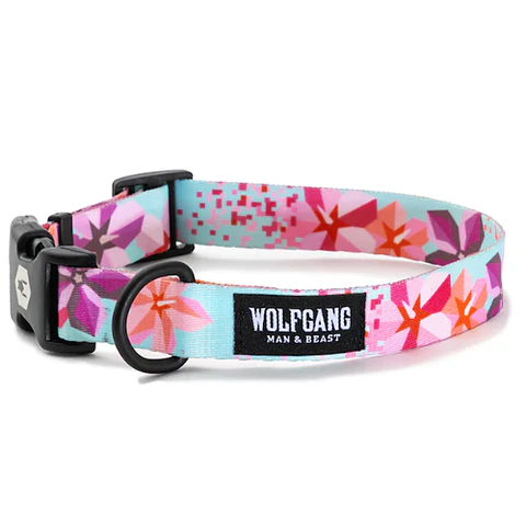 Wolfgang Collar S
