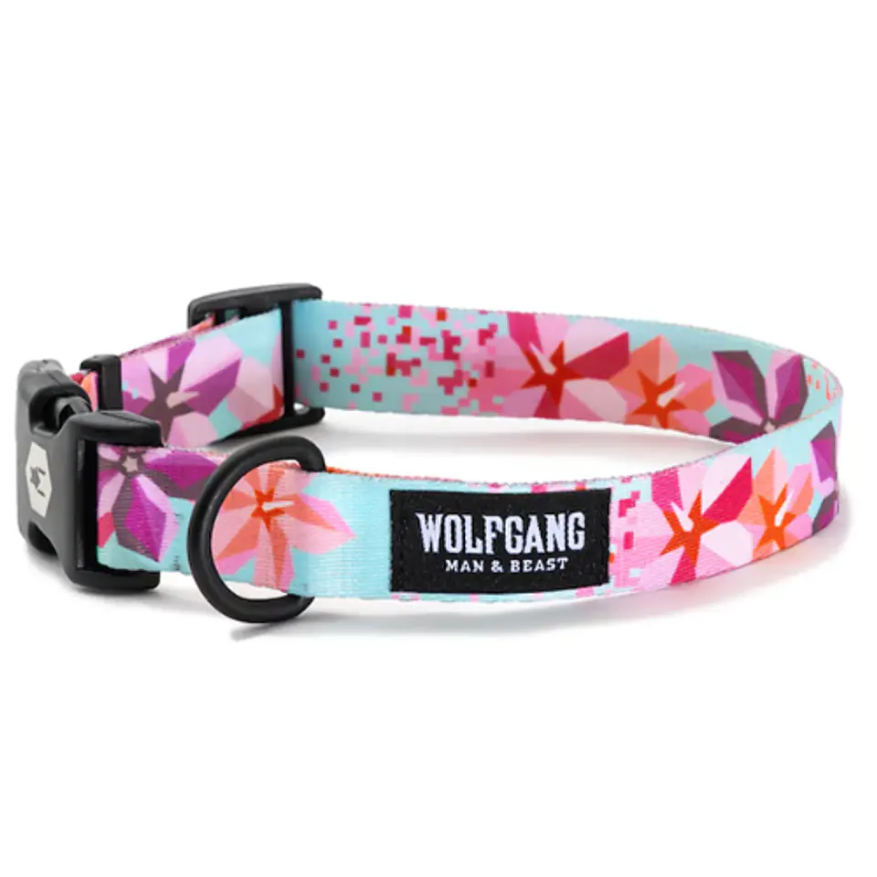 Wolfgang Collar S 2