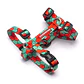 Cachorreiros Arnes H S - Miniatura 1