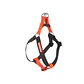 Cachorreiros Arnes Step-in S Black - Miniatura 1
