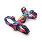 Cachorreiros Arnes H S - Miniatura 4